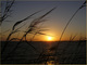 Un matin  ,  face au lac Nasser ...........