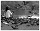 La femme aux pigeons