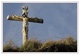 La croix du souvenir  Loncin