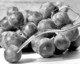 Les raisins de la colre