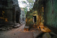 Angkor... Encore...