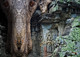 Les Racines d'Angkor 3 - La pierre ne gagnera pas