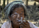 Birmane au cigare