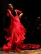 .... Flamenco ....