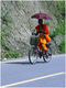 le Bonze...la bicyclette....et l'ombrelle !