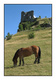 Carte postale d'Auvergne...