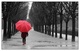 ..... Le femme au parapluie rouge .....