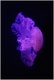 Nebula ou medusa ?