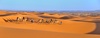 Lever de soleil sur les dunes