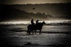 Normandie horses
