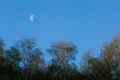 La lune en plein jour vue de ma fenêtre.